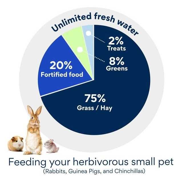 Rabbit Food C739