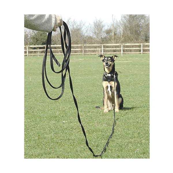 Cotton Training Lead C505