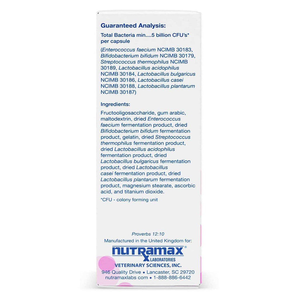 Cat Digestive Supplement Capsules P76395