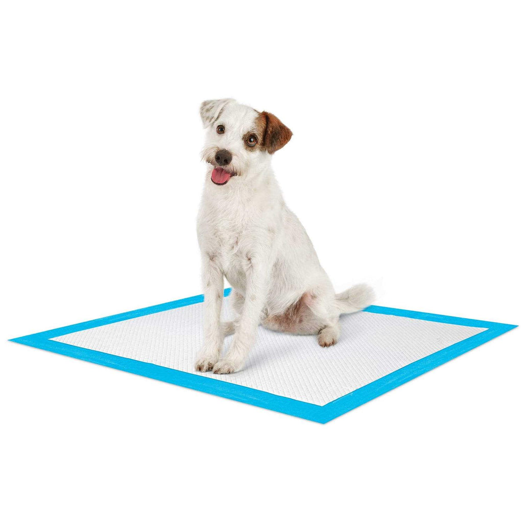 Quilted Potty Pads Z76980