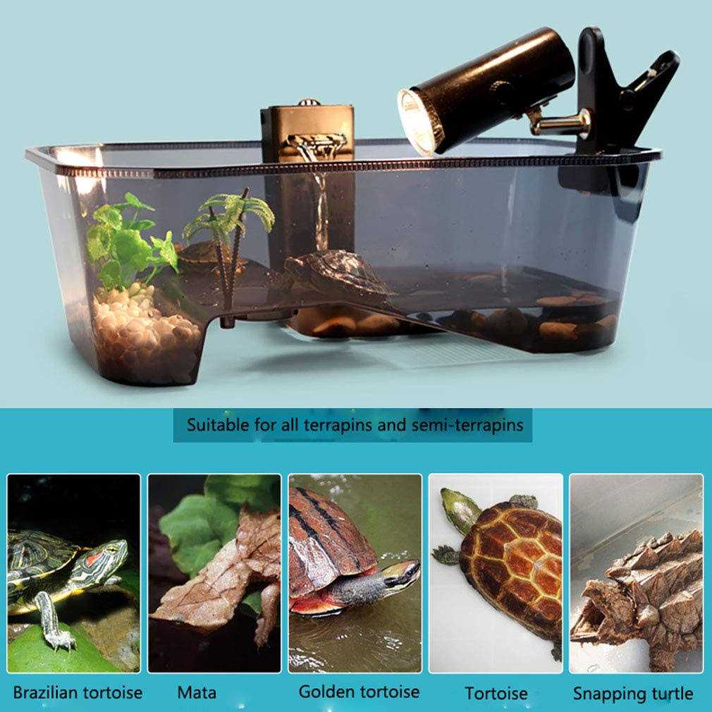 Turtle Tank Aquarium with Platform Plants T4912