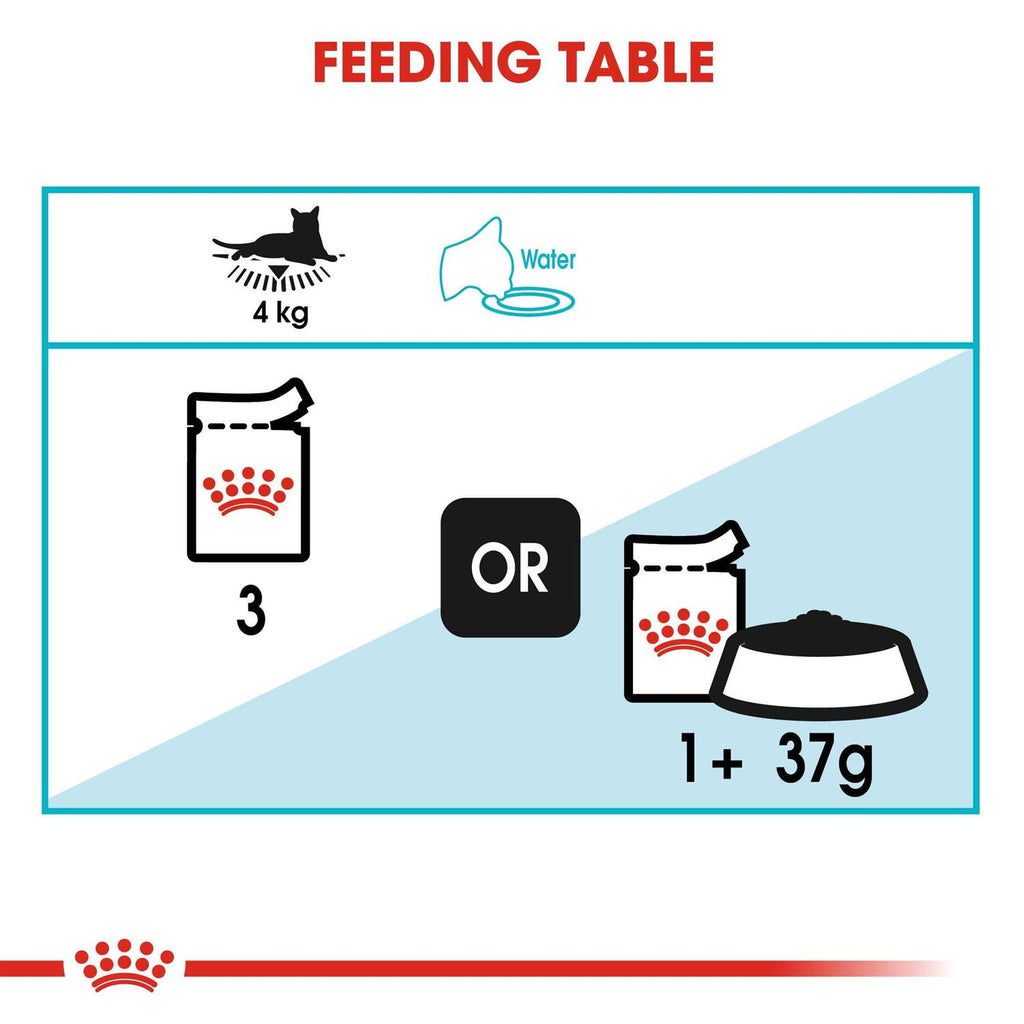 Wet Cat Food T424