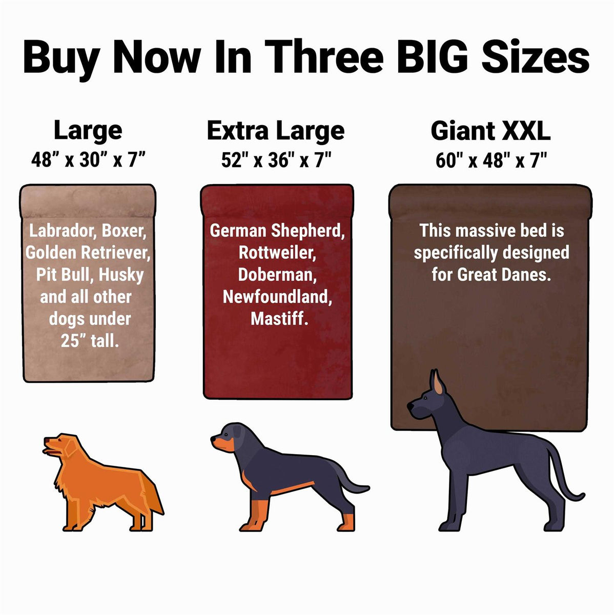 Orthopedic Dog Bed O4644