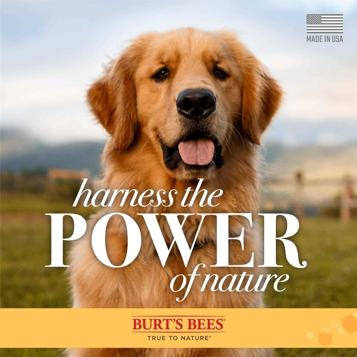 Milk & Honey Dog Shampoo & Conditioner H643