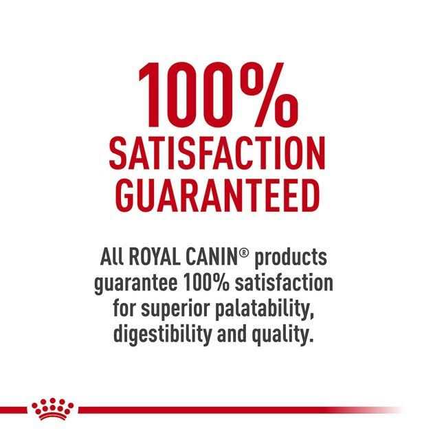 Adult Feline Health Nutrition Morsels in Gravy Cat Food G167