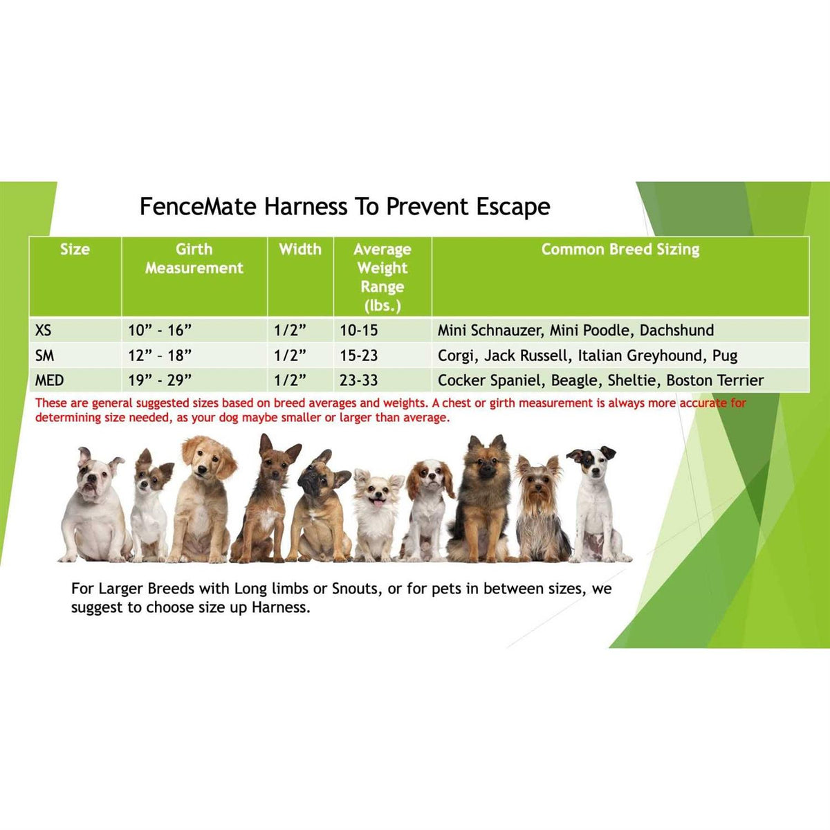 Dog Harness T679365