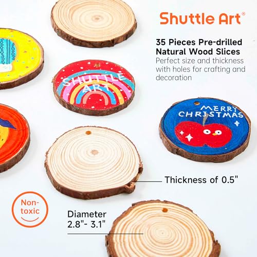 35 Pcs Unfinished Natural Wood Slices with Pre-Drilled Hole E391
