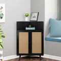 35" Tall Black Rattan Corner Storage Cabinet with Doors M59275
