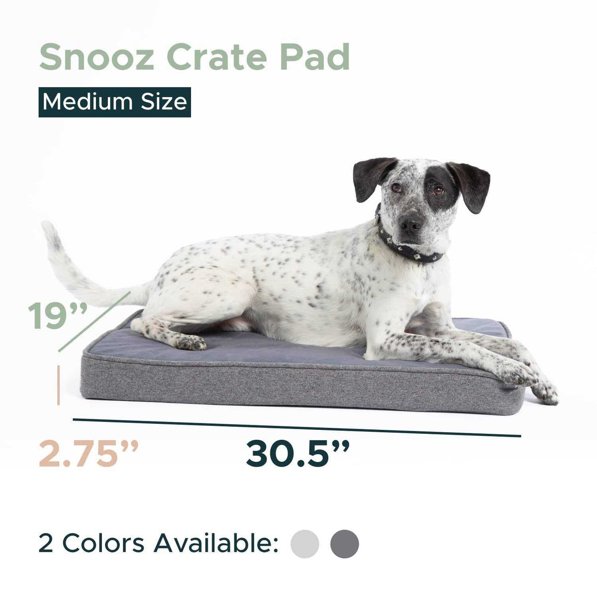 Memory Foam Crate Pad & Dog Bed H577594